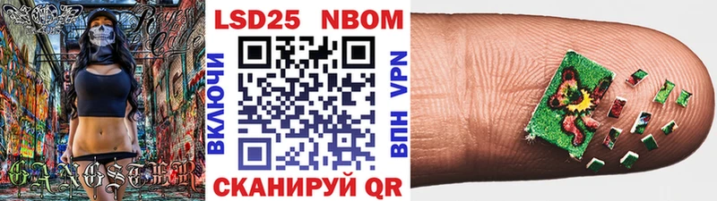 где купить   Шумиха  кракен tor  Марки 25I-NBOMe 1500мкг 