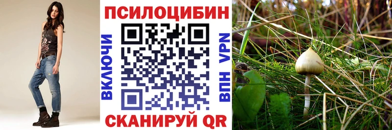 Галлюциногенные грибы Cubensis  где купить наркоту  Шумиха 